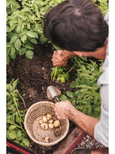   Fiskars Xact™ ültetőkanál (1027043) - 25 év garanciával