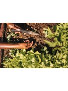 Fiskars Solid™ ültetőbot (1057080)