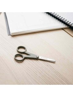 Fiskars ReNew Hobbi olló, 13 cm (1062546)