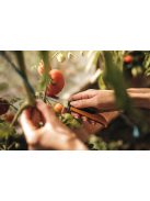 Fiskars X-series™ összecsukható betakarító kés K80 - 25 év garanciával (1062819)