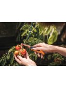 Fiskars X-series™ összecsukható betakarító kés K80 - 25 év garanciával (1062819)