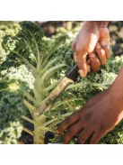 Fiskars X-series™ betakarító kés K82 - 25 év garanciával (1062830)