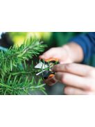 Fiskars Solid™ fűszernövényvágó olló SP220 (1063326)