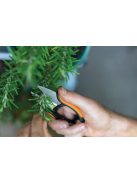 Fiskars Solid™ fűszernövényvágó olló SP220 (1063326)