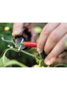 Fiskars Solid™ fűszernövényvágó olló SP220 (1063326)