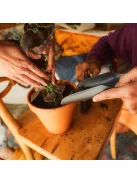 Fiskars Plant Care kétoldalú ültető és miniseprű szett (1071302)