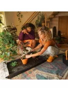 Fiskars Plant Care kétoldalú ültető és miniseprű szett (1071302)