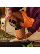 Fiskars Plant Care Ültetőlapát