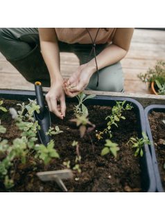 Fiskars Solid™ keskeny ültetőkanál