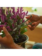 Fiskars Plant Care Növényápoló csípőolló tartóval, olivazöld színű