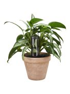 Fiskars Plant Care Automatikus öntözőtüske 3,5 dl-es víztartállyal