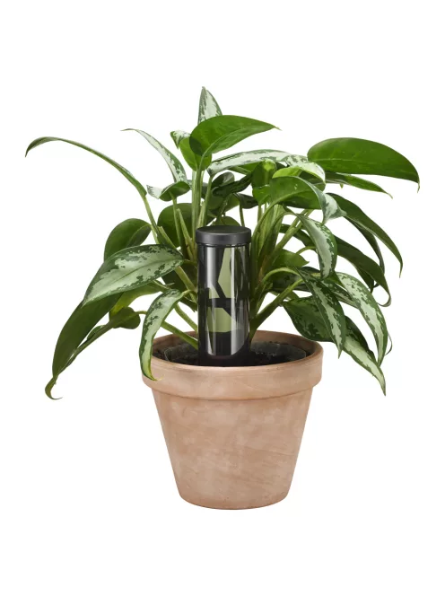 Fiskars Plant Care Automatikus öntözőtüske 3,5 dl-es víztartállyal (1075380)