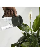 Fiskars Plant Care öntözőkanna (1080775)