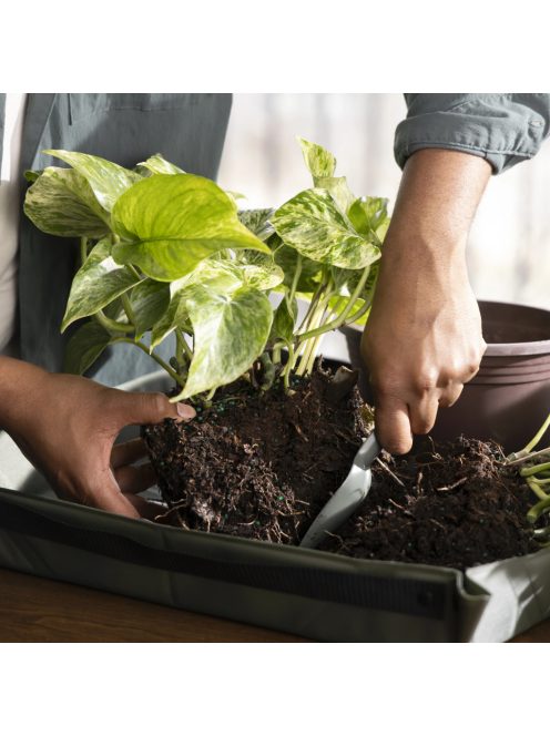 Fiskars Plant Care talajszerszám készlet 3 db-os (1080777)