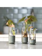 Fiskars Plant Care növénynevelő szett, 3 részes (1080910)