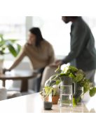 Fiskars Plant Care növénynevelő szett, 3 részes (1080910)