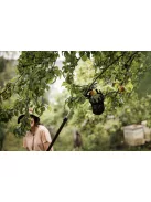 Fiskars UP80 Gyümölcsszedő ágvágókhoz (UP82, UP84, UP86, UPX82, UPX86, UPX96 modellekhez) (1001562)