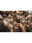 Fiskars PowerStep™ P83 metszőolló, rávágó, 3 fokozatú állítással (1000575)