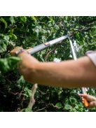 Fiskars SmartFit™ L86 teleszkópos ágvágó, bypass (1013564)