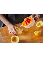 Fiskars Functional Form Gyümölcsfacsaró (1016125)