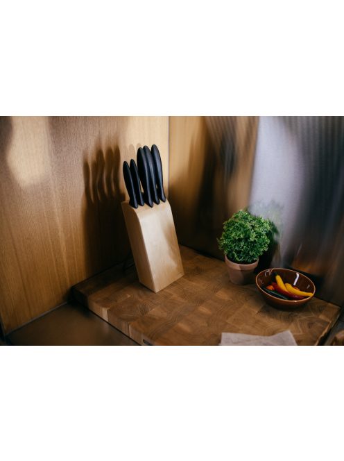 Fiskars Essential Késblokk 5 db késsel (1023782)