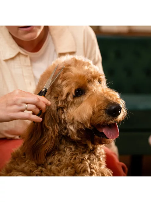 Fiskars Pet Care Szőrnyíró és formázó olló kisállatoknak (2009126)