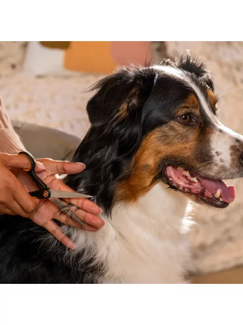 Fiskars Pet Care Szőrnyíró és formázó olló kisállatoknak (2009126)