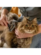 Fiskars Pet Care Gubanc- és filcbontó kefe kisállatoknak (2009136)