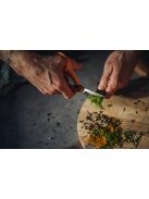 Fiskars Classic konyhai olló, 18 cm - 25 év garanciával (1000819)